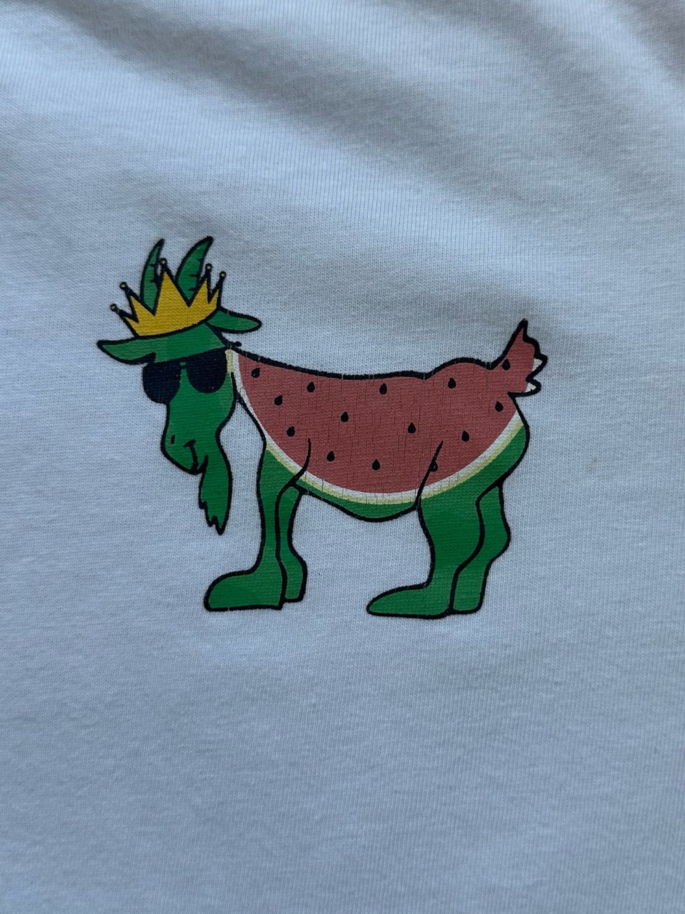GOAT USA tee youth XL watermelon